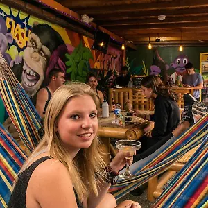  Hostel Purple Monkey Colombia